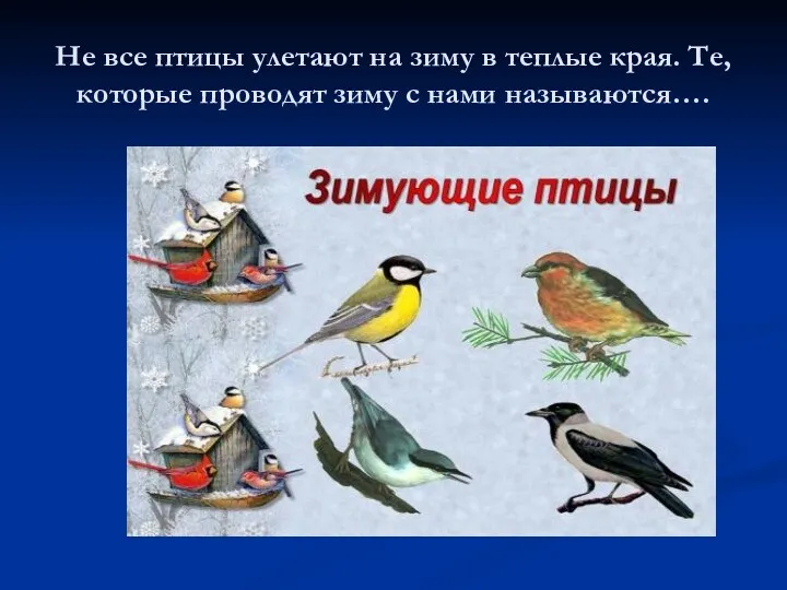 Не все птицы улетают на зиму в теплые края. Те, которые проводят зиму с нами называются….
