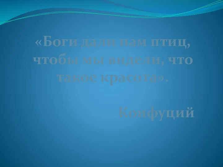 «Боги дали нам птиц, чтобы мы видели, что такое красота». Конфуций