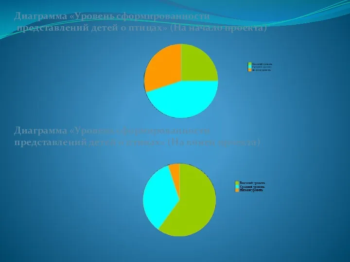 Диаграмма «Уровень сформированности представлений детей о птицах» (На начало проекта) Диаграмма «Уровень сформированности