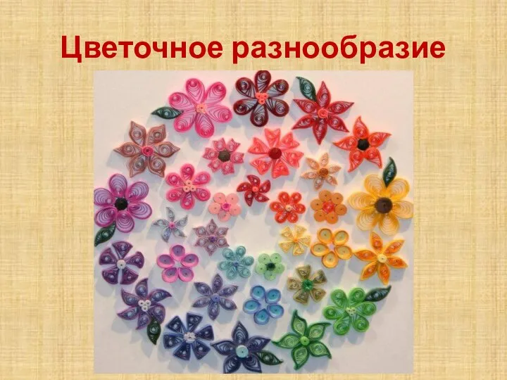 Цветочное разнообразие