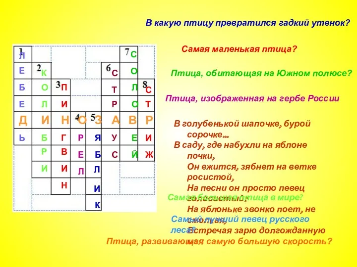 В какую птицу превратился гадкий утенок? Самая маленькая птица? Птица,