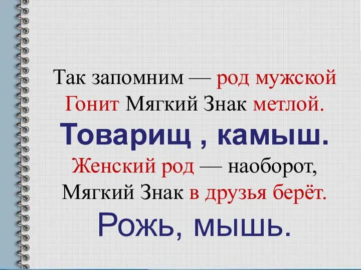 Так запомним — род мужской Гонит Мягкий Знак метлой. Товарищ