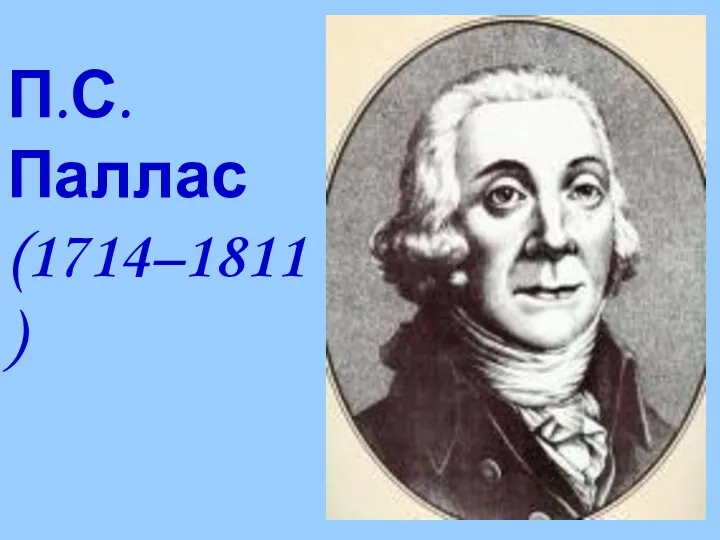 П.С. Паллас (1714–1811)