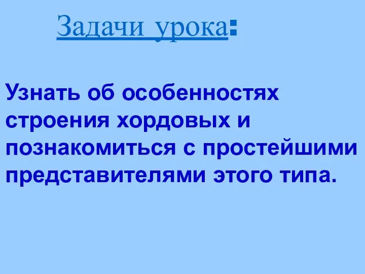 Узнать об особенностях строения хордовых и познакомиться с простейшими представителями этого типа. Задачи урока: