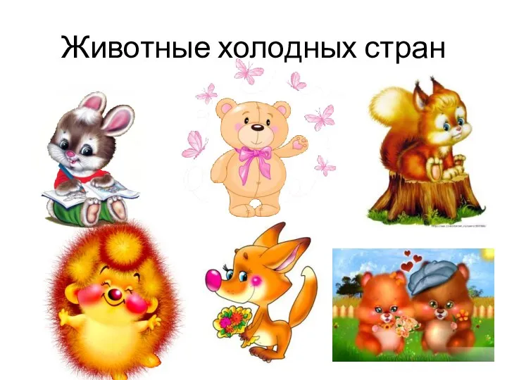 Животные холодных стран