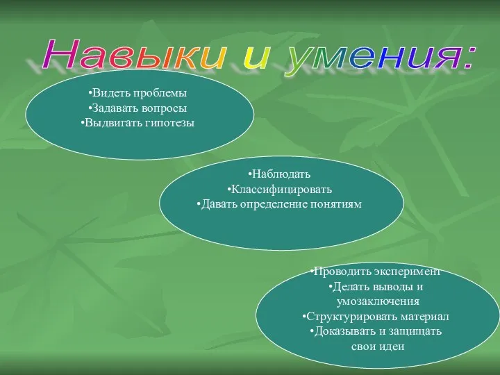 Навыки и умения: Видеть проблемы Задавать вопросы Выдвигать гипотезы Наблюдать