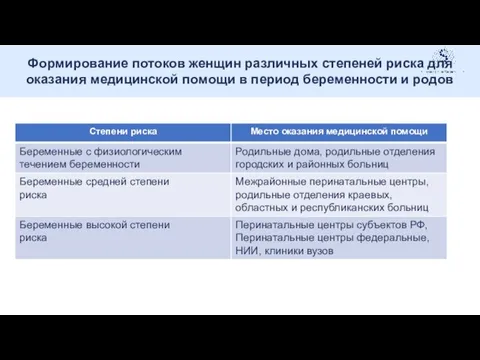 Формирование потоков женщин различных степеней риска для оказания медицинской помощи в период беременности и родов