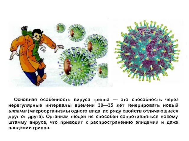 Основная особенность вируса гриппа — это способность через нерегулярные интервалы