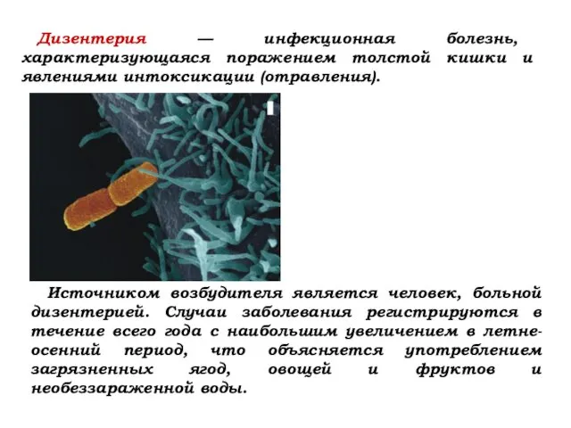 Источником возбудителя является человек, больной дизентерией. Случаи заболевания регистрируются в