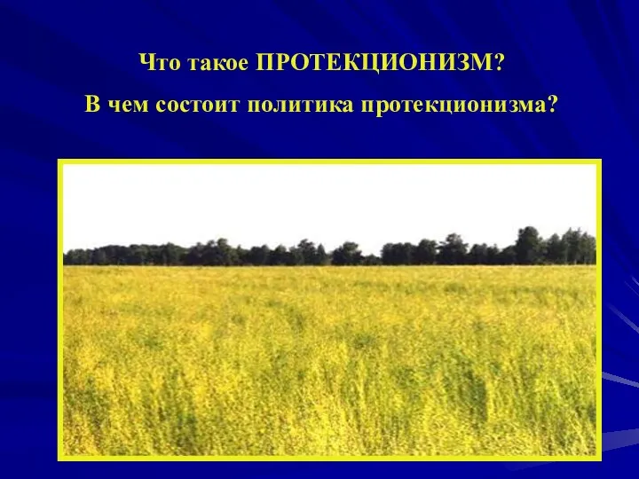 Что такое ПРОТЕКЦИОНИЗМ? В чем состоит политика протекционизма?