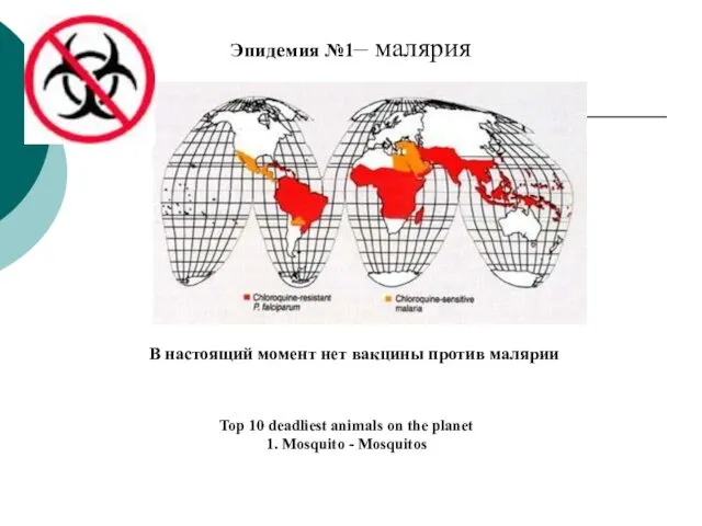 В настоящий момент нет вакцины против малярии Эпидемия №1– малярия