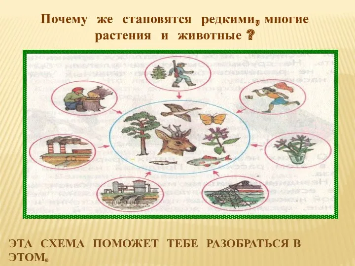 Почему же становятся редкими, многие растения и животные ? Эта схема поможет тебе разобраться в этом.