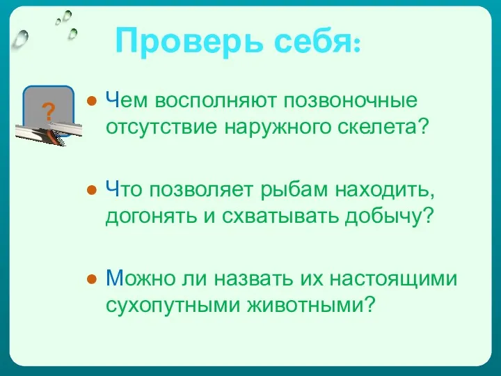 Проверь себя: Чем восполняют позвоночные отсутствие наружного скелета? Что позволяет рыбам находить, догонять