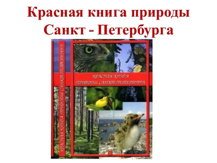 Красная книга природы Санкт - Петербурга