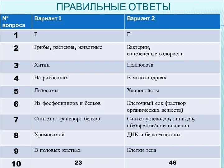 ПРАВИЛЬНЫЕ ОТВЕТЫ