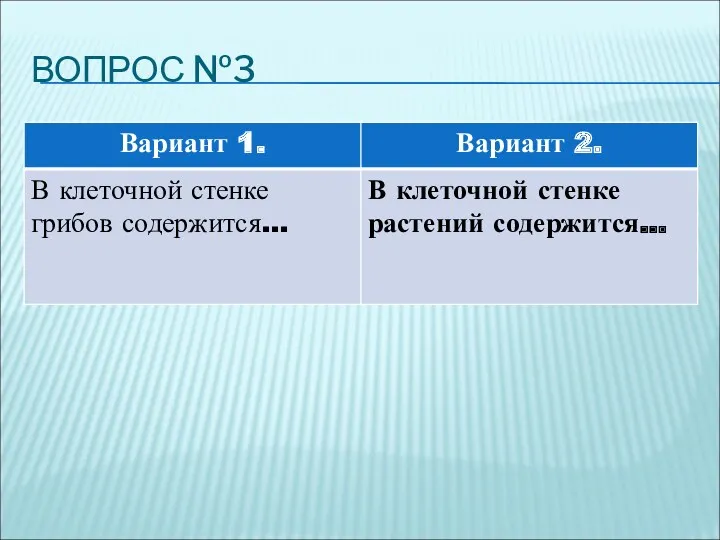 ВОПРОС №3