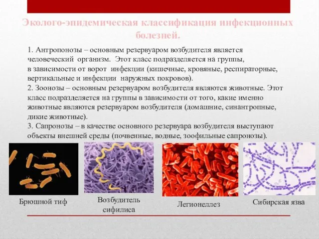 Эколого-эпидемическая классификация инфекционных болезней. 1. Антропонозы – основным резервуаром возбудителя