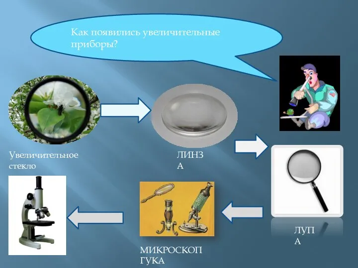 Как появились увеличительные приборы? Увеличительное стекло ЛИНЗА ЛУПА МИКРОСКОП ГУКА
