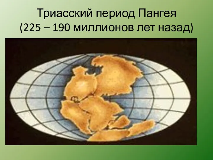 Триасский период Пангея (225 – 190 миллионов лет назад)