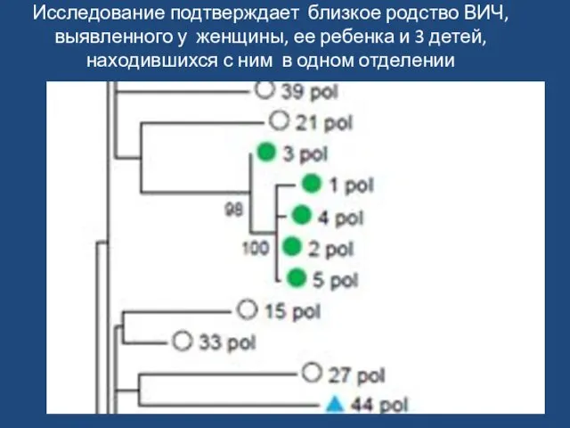 Исследование подтверждает близкое родство ВИЧ, выявленного у женщины, ее ребенка