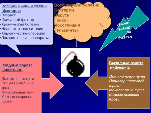 Возбудители болезни: Бактерии Вирусы Грибы Простейшие Гельминты Резервуар: Живой неживой