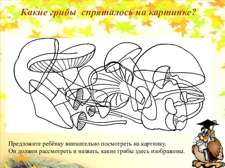 Какие грибы спряталось на картинке? Предложите ребёнку внимательно посмотреть на