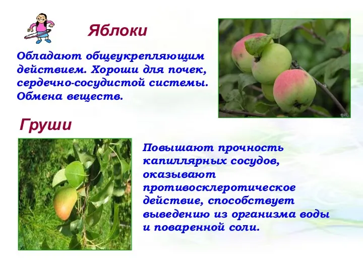 Яблоки Обладают общеукрепляющим действием. Хороши для почек, сердечно-сосудистой системы. Обмена веществ. Груши Повышают