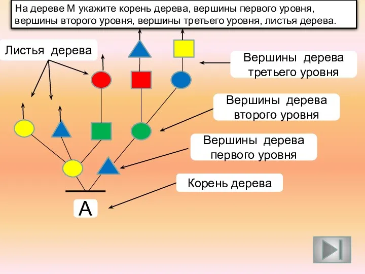 А На дереве М укажите корень дерева, вершины первого уровня,