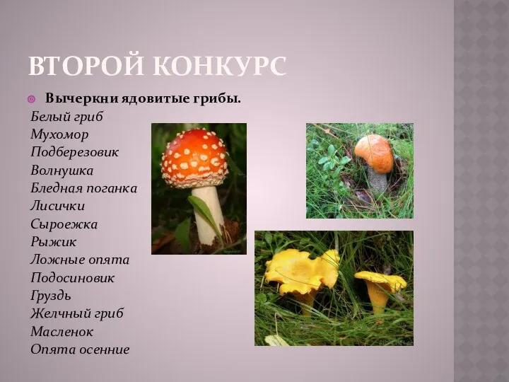 Второй конкурс Вычеркни ядовитые грибы. Белый гриб Мухомор Подберезовик Волнушка