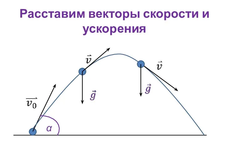 Расставим векторы скорости и ускорения α