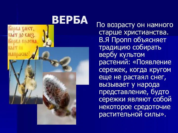 ВЕРБА По возрасту он намного старше христианства. В.Я Пропп объясняет