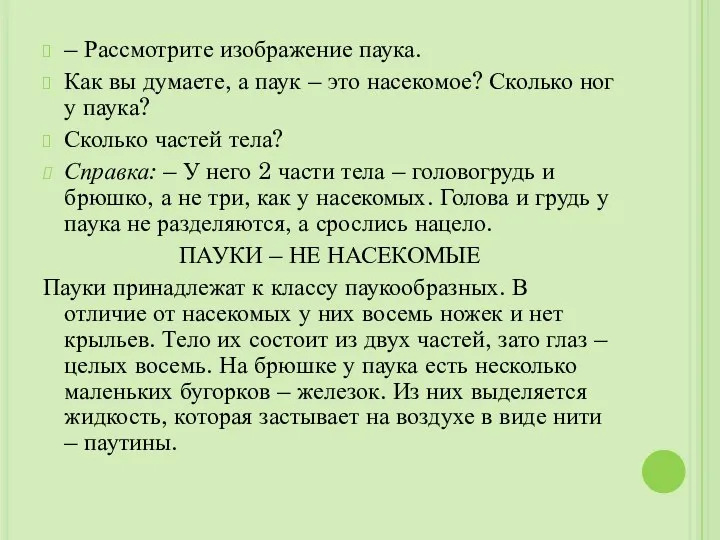 – Рассмотрите изображение паука. Как вы думаете, а паук –