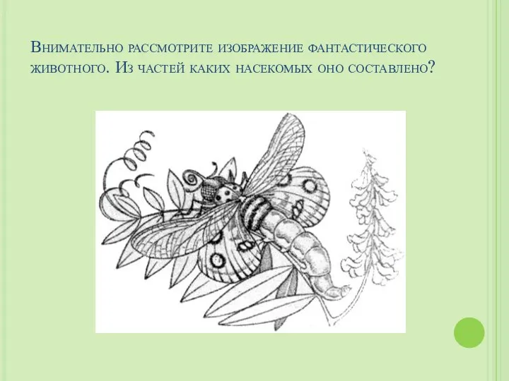 Внимательно рассмотрите изображение фантастического животного. Из частей каких насекомых оно составлено?