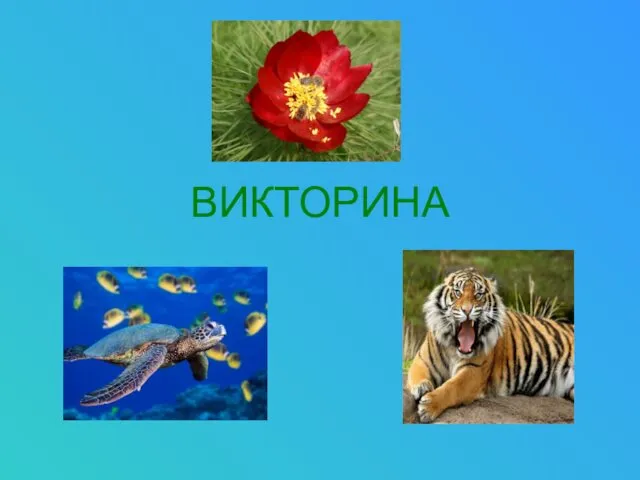 ВИКТОРИНА