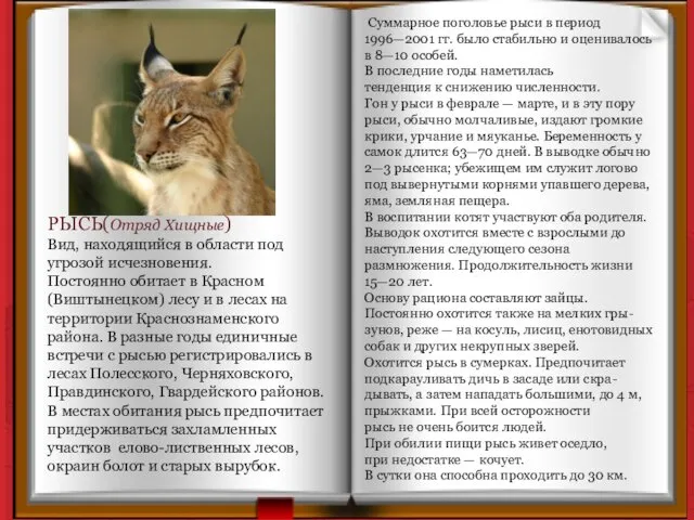 РЫСЬ(Отряд Хищные) Вид, находящийся в области под угрозой исчезновения. Постоянно