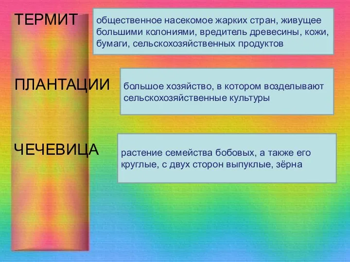 ТЕРМИТ ПЛАНТАЦИИ ЧЕЧЕВИЦА общественное насекомое жарких стран, живущее большими колониями,