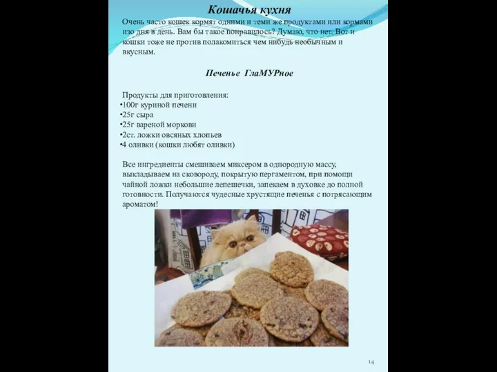 Кошачья кухня Очень часто кошек кормят одними и теми же