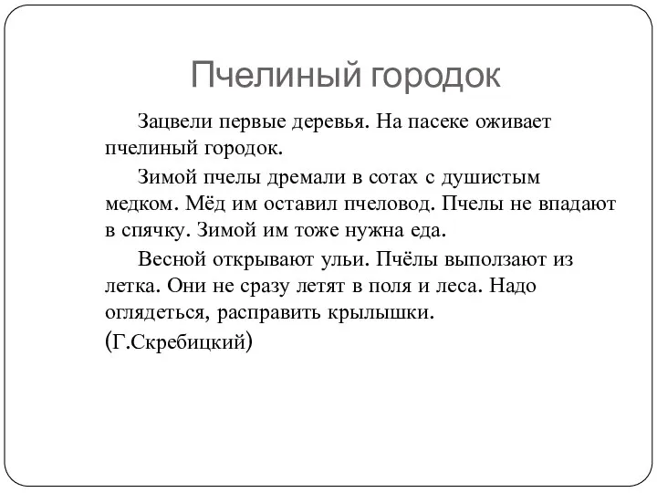 Пчелиный городок Зацвели первые деревья. На пасеке оживает пчелиный городок.