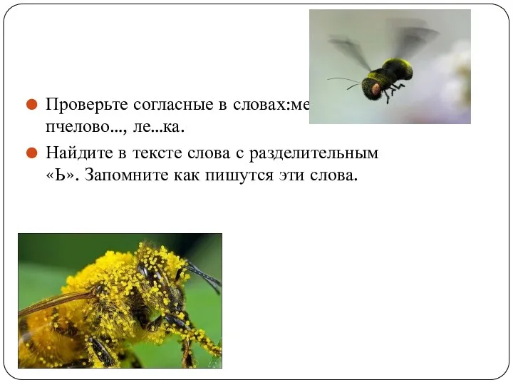 Проверьте согласные в словах:ме…ком, пчелово…, ле…ка. Найдите в тексте слова