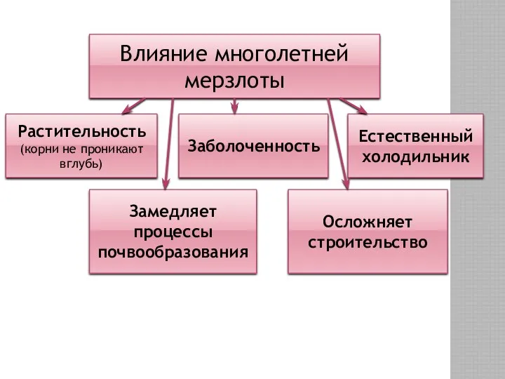 Влияние многолетней мерзлоты Растительность (корни не проникают вглубь) Заболоченность Естественный холодильник Замедляет процессы почвообразования Осложняет строительство