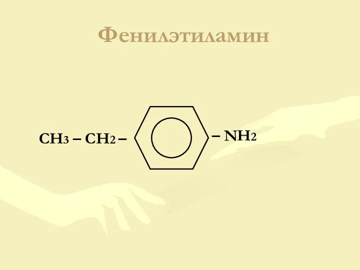 Фенилэтиламин – NH2 CH3 – CH2 –