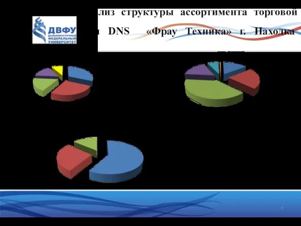 Анализ структуры ассортимента торговой сети DNS «Фрау Техника» г. Находка Структура фенов по
