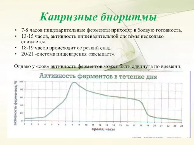 Капризные биоритмы 7-8 часов пищеварительные ферменты приходят в боевую готовность.