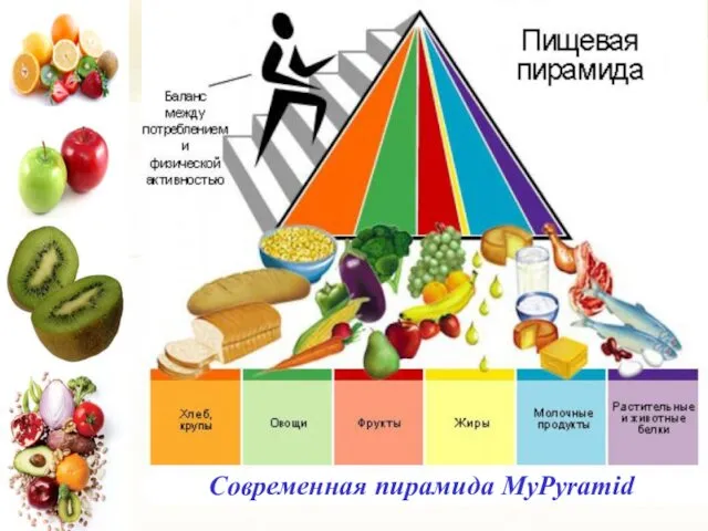 Современная пирамида MyPyramid