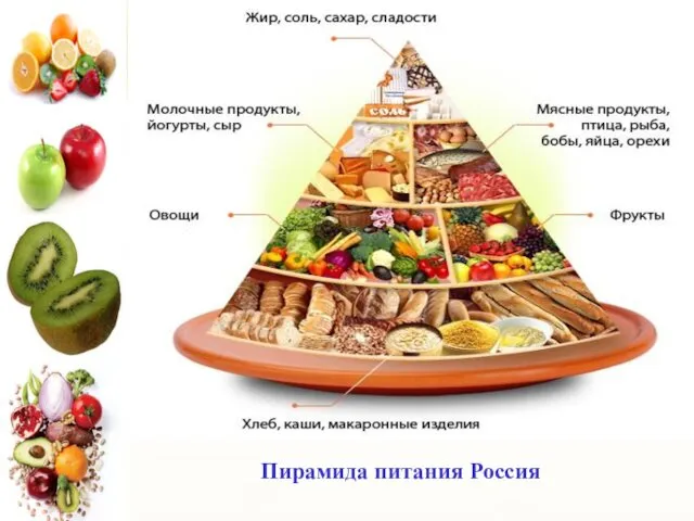 Пирамида питания Россия