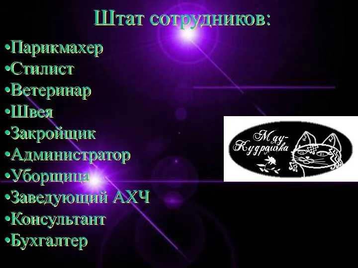Штат сотрудников: Парикмахер Стилист Ветеринар Швея Закройщик Администратор Уборщица Заведующий АХЧ Консультант Бухгалтер