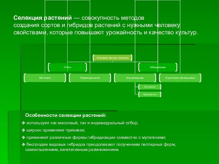 Селекция растений — совокупность методов создания сортов и гибридов растений