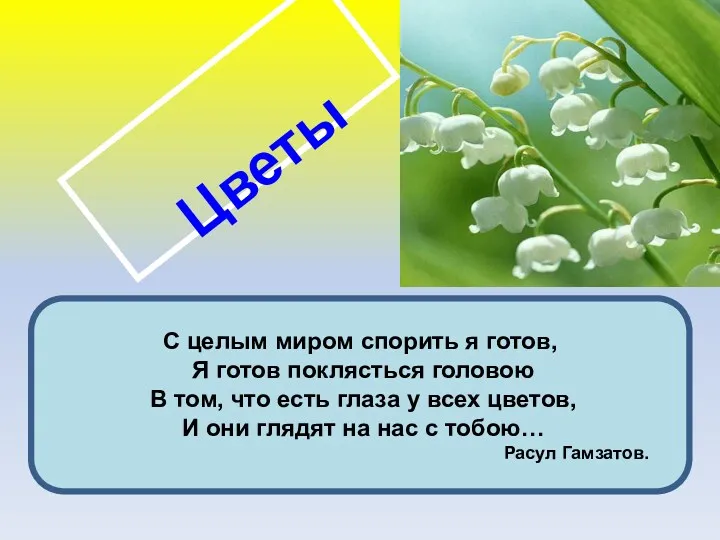 С целым миром спорить я готов, Я готов поклясться головою