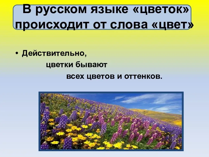 В русском языке «цветок» происходит от слова «цвет» Действительно, цветки бывают всех цветов и оттенков.