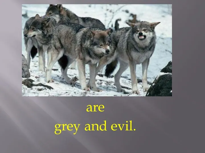 are grey and evil.